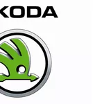 Компьютерная диагностика всех автомобилей марки Skoda