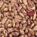 Квасоля оптом. Різні сорти в наявності