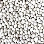 Продаж насіння квасолі. Посівний матеріал квасолі.