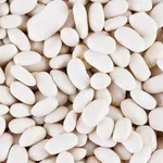 Продаж високоякісної квасолі відбірних сортів