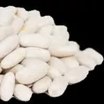 Купуємо квасолю у фермерів та с.г підприємств