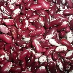  Квасоля оптом з доставкою по Україні від виробника