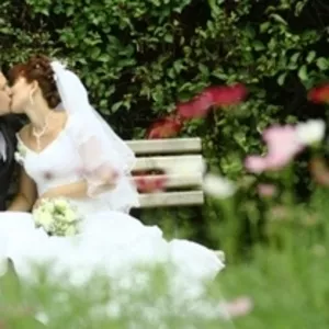Видеосъемка и фотосъемка свадеб в Черкассах.оцифровка.видеомонтаж