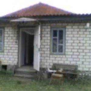 Дом в пригороде ( 30 км от Черкасс ,  село Тубельцы)