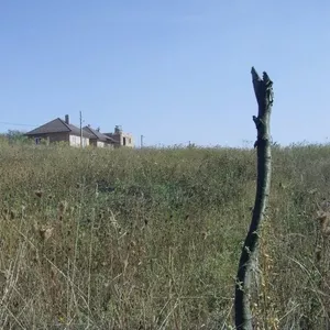 Продам земельну ділянку в місті Чернівці