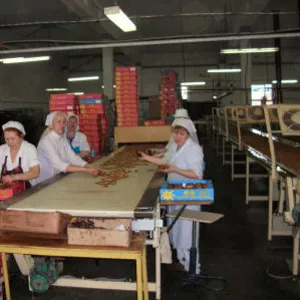 Работницы на кондитерскую фабрику в Польшу,  г. Лешно