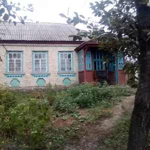 Один або два будинки в м.Корсунь-Шевченківський.