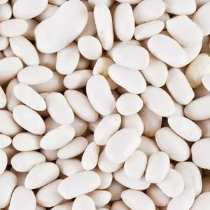  Сортова квасоля від лідера ринку — понад 20 сортів в наявності