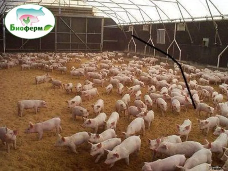 Ферментационная подстилка Биоферм для животных и птиц Украина  5