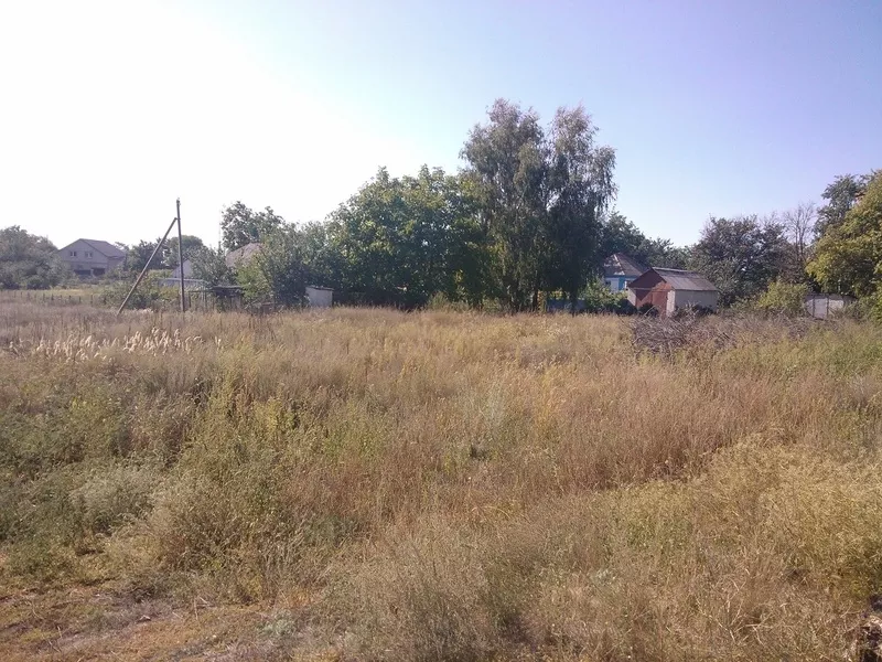 дача в селе Кедина Гора  старый дом с участком и огородом 37 соток 2