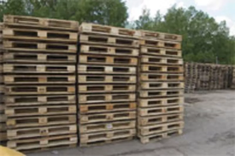 Продам деревянные поддоны б/у 1200*800,  1200*1000,  1200*1200