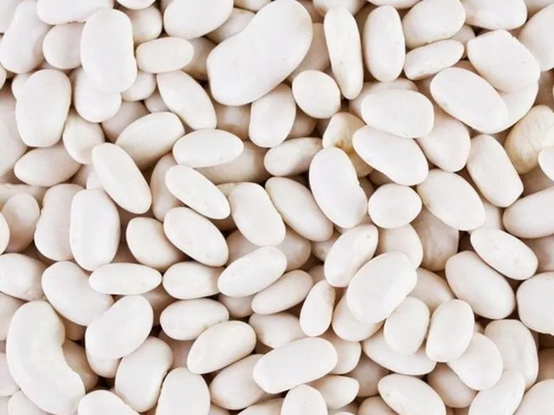  Сортова квасоля від лідера ринку — понад 20 сортів в наявності