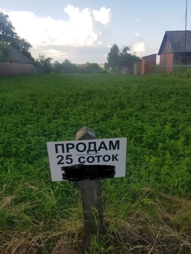 Продам земельну ділянку в центрі села Давидківці,  25 соток 3